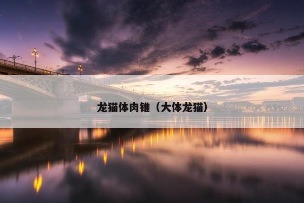 龙猫体肉锥（大体龙猫）