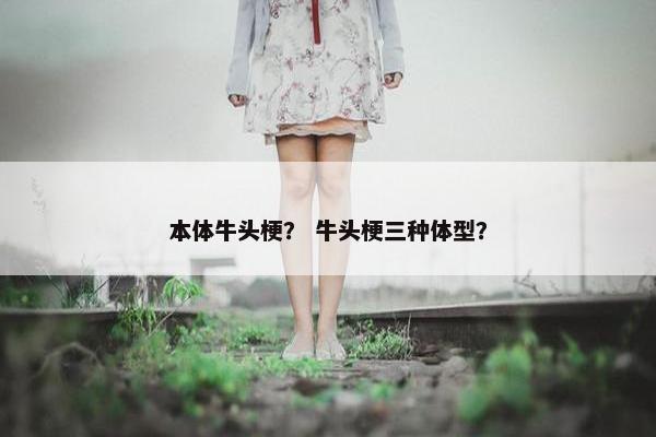 本体牛头梗？ 牛头梗三种体型？