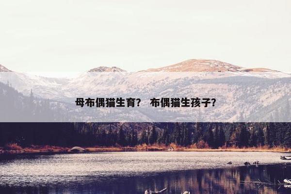 母布偶猫生育？ 布偶猫生孩子？