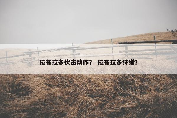 拉布拉多伏击动作？ 拉布拉多狩猎？
