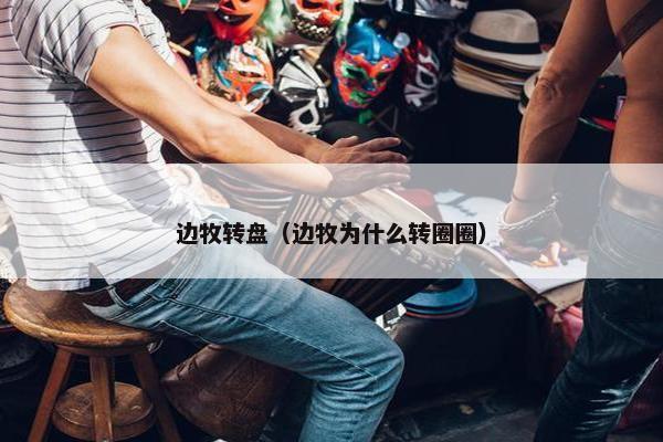 边牧转盘（边牧为什么转圈圈）