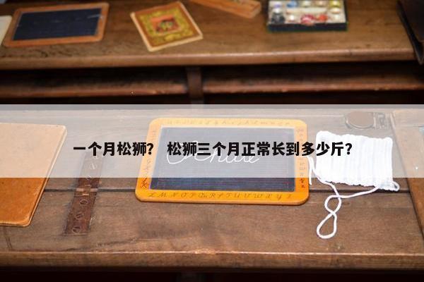 一个月松狮？ 松狮三个月正常长到多少斤？