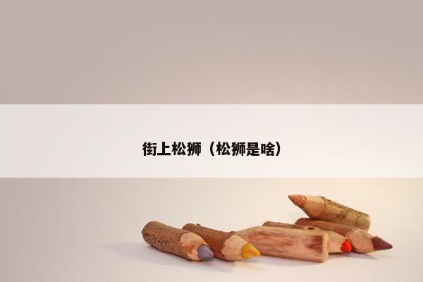 街上松狮（松狮是啥）