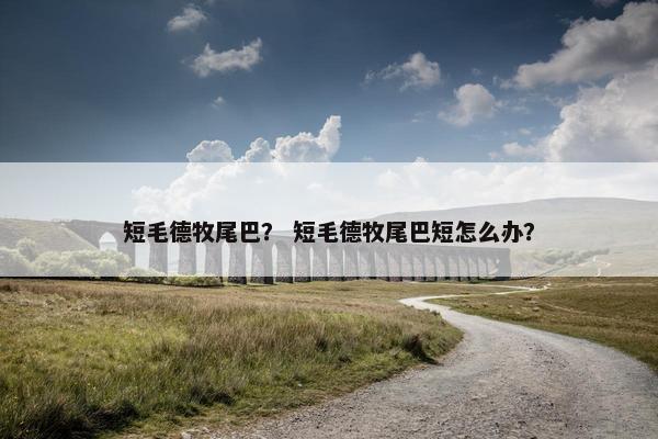 短毛德牧尾巴？ 短毛德牧尾巴短怎么办？