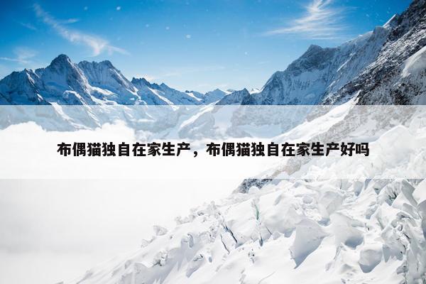 布偶猫独自在家生产，布偶猫独自在家生产好吗