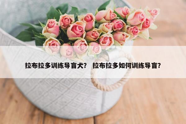 拉布拉多训练导盲犬？ 拉布拉多如何训练导盲？