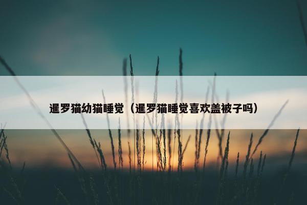暹罗猫幼猫睡觉（暹罗猫睡觉喜欢盖被子吗）