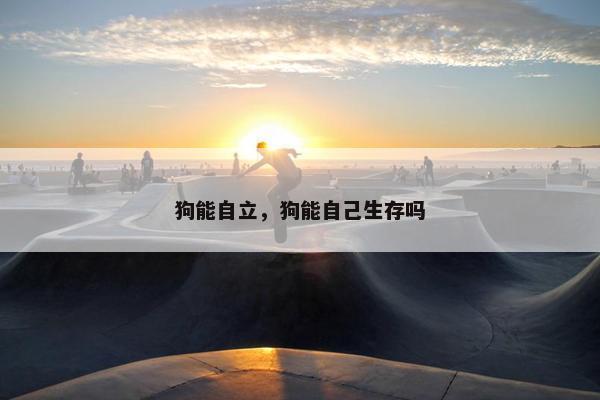 狗能自立，狗能自己生存吗