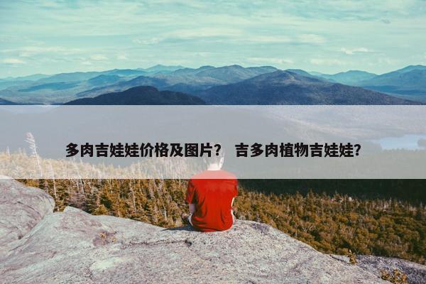 多肉吉娃娃价格及图片？ 吉多肉植物吉娃娃？