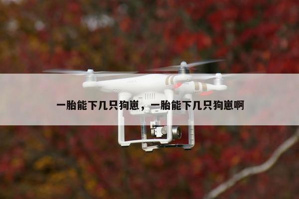 一胎能下几只狗崽，一胎能下几只狗崽啊