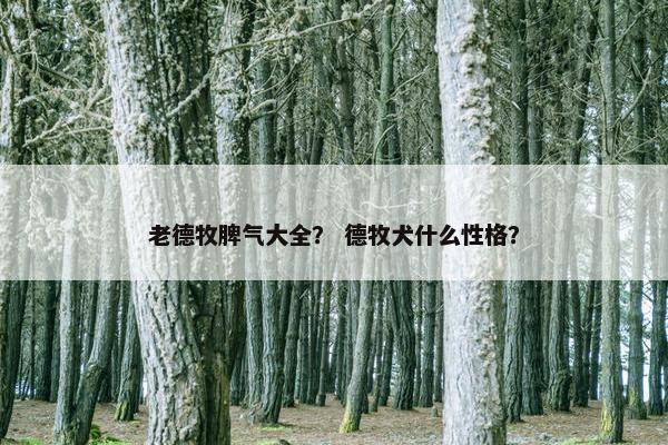 老德牧脾气大全？ 德牧犬什么性格？