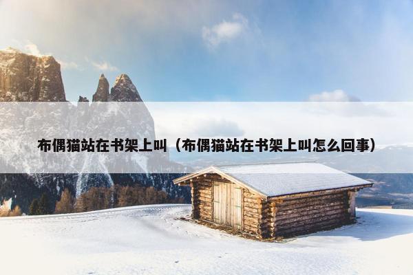 布偶猫站在书架上叫（布偶猫站在书架上叫怎么回事）