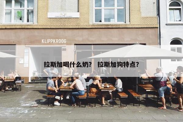 拉斯加喝什么奶？ 拉斯加狗特点？