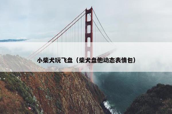 小柴犬玩飞盘（柴犬盘他动态表情包）