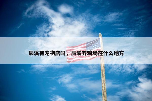 辰溪有宠物店吗，辰溪养鸡场在什么地方