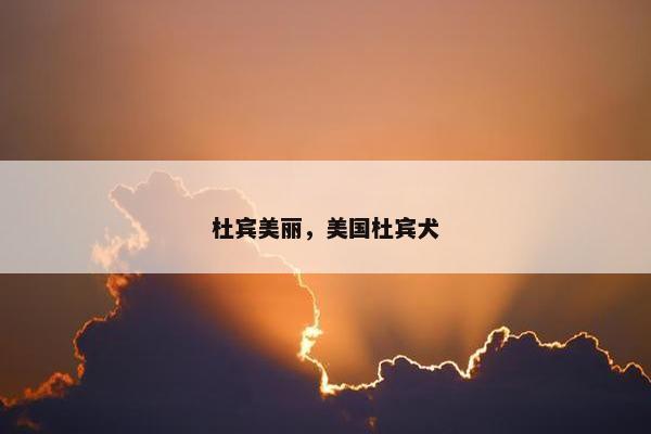 杜宾美丽，美国杜宾犬