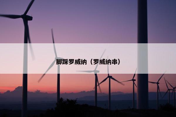 脚踩罗威纳（罗威纳串）