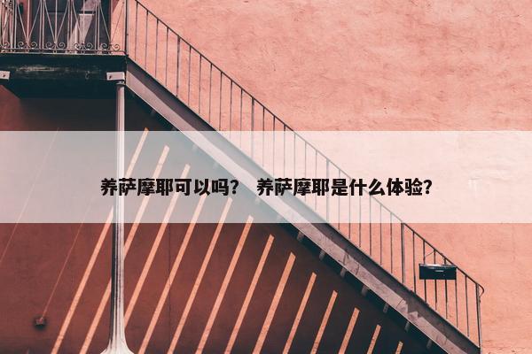 养萨摩耶可以吗？ 养萨摩耶是什么体验？