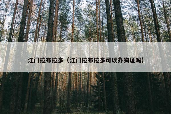 江门拉布拉多（江门拉布拉多可以办狗证吗）