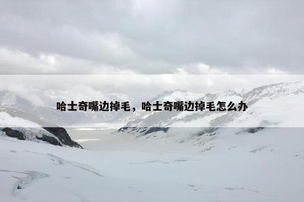 哈士奇嘴边掉毛，哈士奇嘴边掉毛怎么办