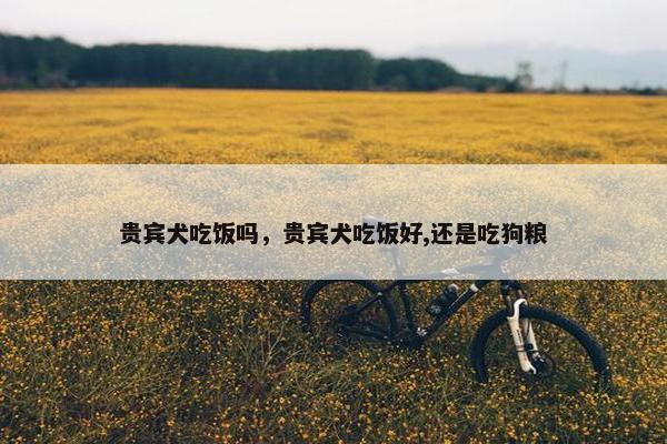 贵宾犬吃饭吗，贵宾犬吃饭好,还是吃狗粮