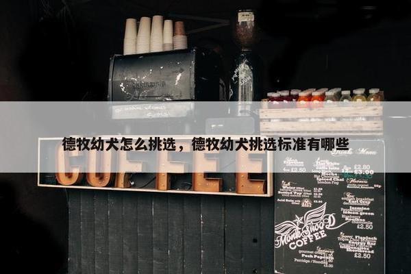 德牧幼犬怎么挑选，德牧幼犬挑选标准有哪些