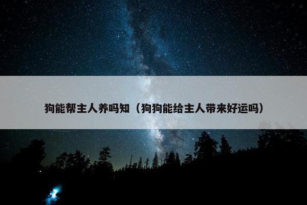 狗能帮主人养吗知（狗狗能给主人带来好运吗）