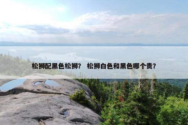 松狮配黑色松狮？ 松狮白色和黑色哪个贵？
