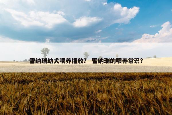 雪纳瑞幼犬喂养播放？ 雪纳瑞的喂养常识？