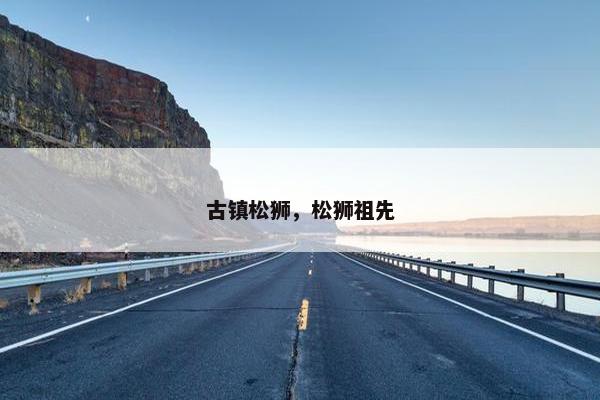 古镇松狮，松狮祖先