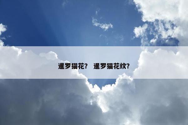暹罗猫花？ 暹罗猫花纹？
