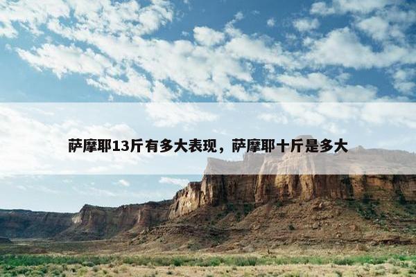 萨摩耶13斤有多大表现，萨摩耶十斤是多大
