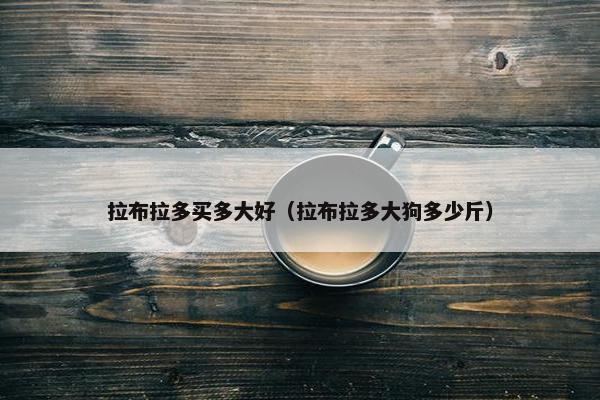 拉布拉多买多大好（拉布拉多大狗多少斤）