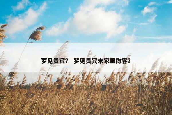 梦见贵宾？ 梦见贵宾来家里做客？