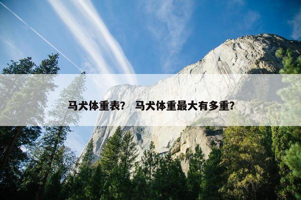 马犬体重表？ 马犬体重最大有多重？
