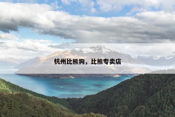 杭州比熊狗，比熊专卖店