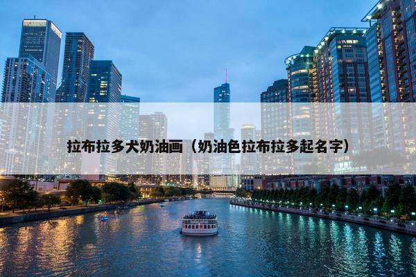 拉布拉多犬奶油画（奶油色拉布拉多起名字）