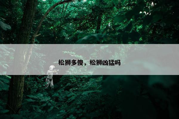 松狮多傻，松狮凶猛吗