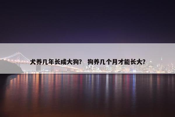 犬养几年长成大狗？ 狗养几个月才能长大？
