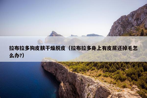 拉布拉多狗皮肤干燥脱皮（拉布拉多身上有皮屑还掉毛怎么办?）