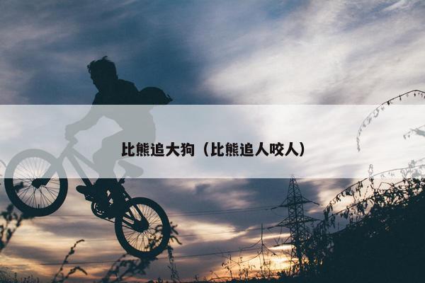 比熊追大狗（比熊追人咬人）