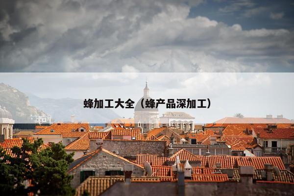 蜂加工大全（蜂产品深加工）