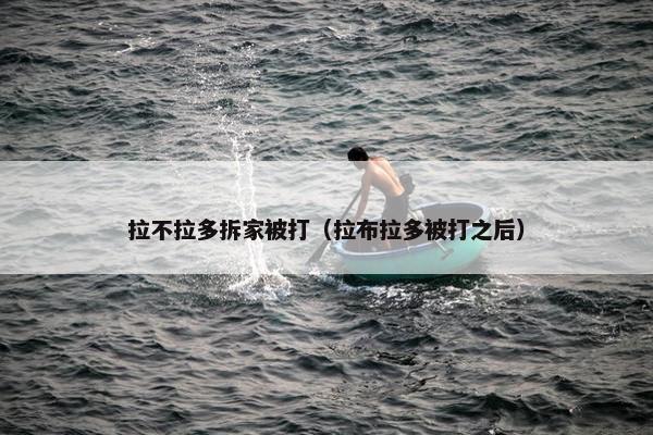 拉不拉多拆家被打（拉布拉多被打之后）