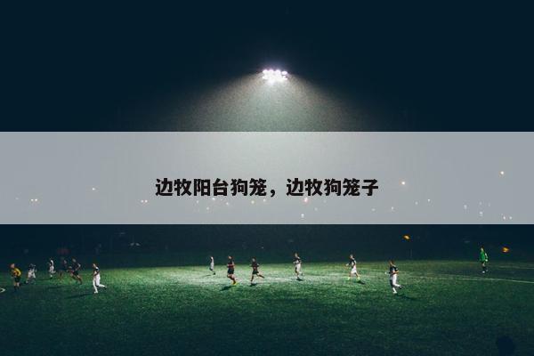 边牧阳台狗笼，边牧狗笼子