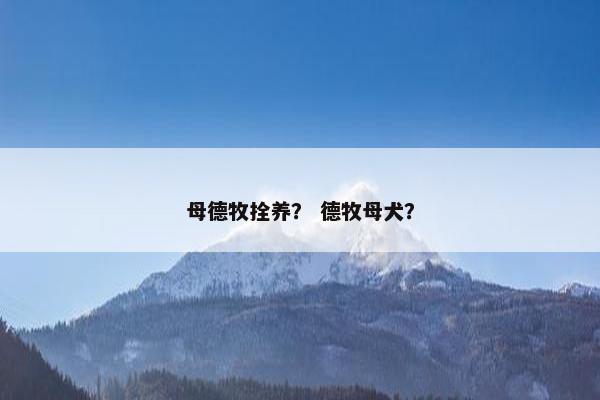 母德牧拴养？ 德牧母犬？