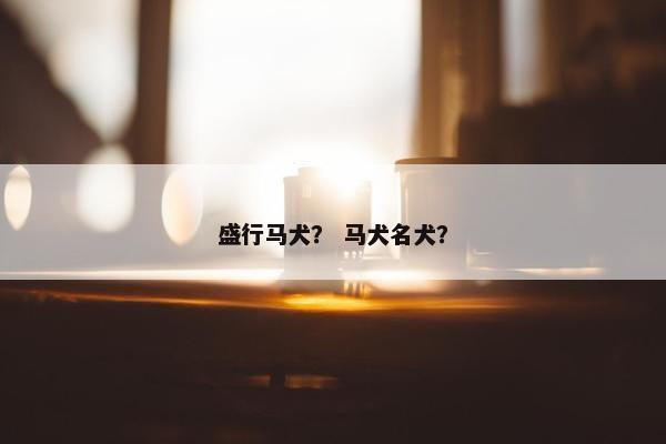 盛行马犬？ 马犬名犬？