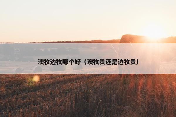 澳牧边牧哪个好（澳牧贵还是边牧贵）