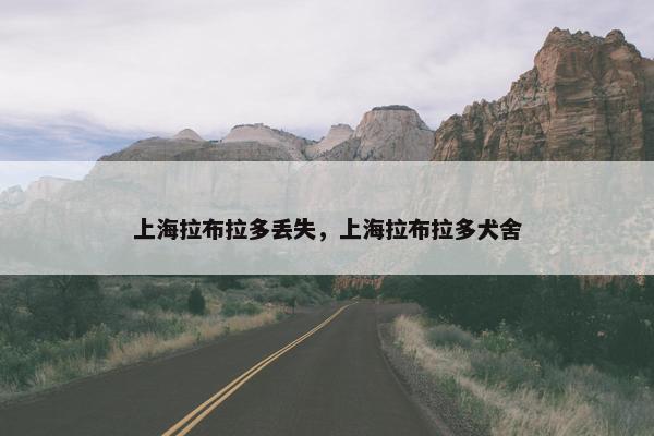 上海拉布拉多丢失，上海拉布拉多犬舍