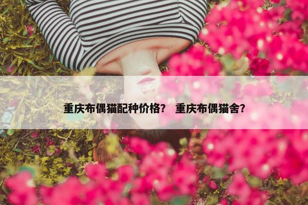 重庆布偶猫配种价格？ 重庆布偶猫舍？