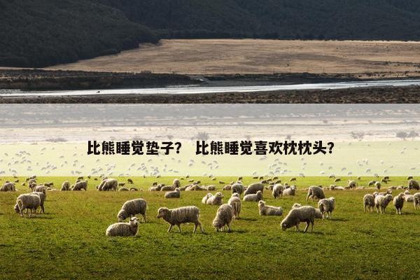 比熊睡觉垫子？ 比熊睡觉喜欢枕枕头？